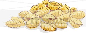 Pasta Shells Clipart