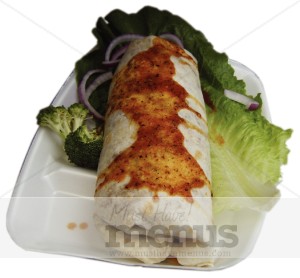 Burrito Photo