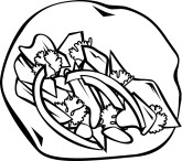 Soft Taco Clipart