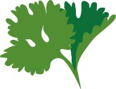 Parsley Icon