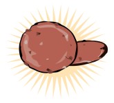 Chocolate Cookie Clipart