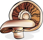 Portabella Mushrooms Clipart