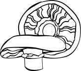 Portabella Clipart