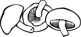 Shitake Clipart