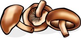 Mushroom Clip Art
