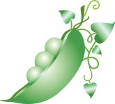 Peapod Clipart