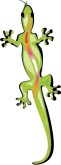 Gecko Clipart