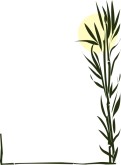 Asian Bamboo Border