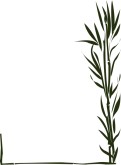 Bamboo Border
