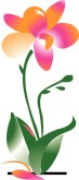 Orchid Clipart