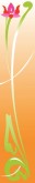 Lotus Sidebar