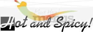 Hot and Spicy Word Art