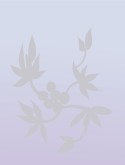 Chinese Leaves Background