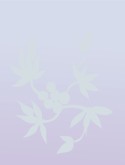 Leaves and Berries Background