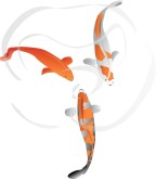 Koi Clipart