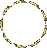 Corn Circle