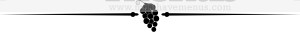 Grapes With Vine Tendril