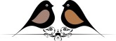Happy Birds