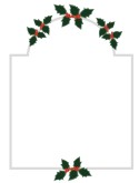 Holly Border