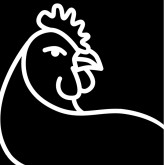 Chicken Black Icon