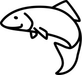 Fish Icon