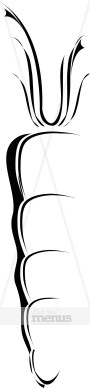 Carrot Clip Art