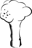 Broccoli Icon
