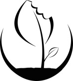 Sprout Clipart