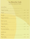 Vegetarian Juice Bar Menu
