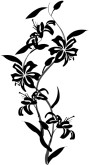 Brushstroke Lilies