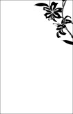 Black and White Lily Border