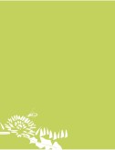 White Dandelion Silhouette on Green