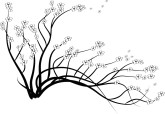 Cherry Blossoms Silhouette