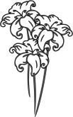 Lily Clip Art