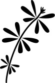 Plant Clipart
