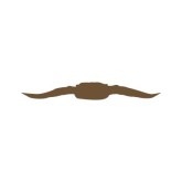 Longhorn Logo