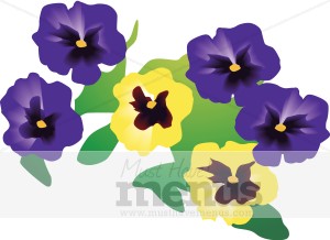 Pansies Clipart