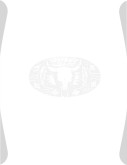 Western Steer Skull Emblem