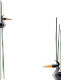 Waterbird Sides