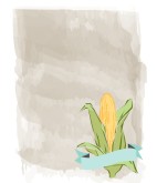 Corn in Mist