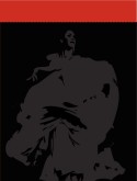 Dramatic Flamenco Dancer