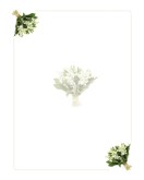 Corner to Corner Bridal Bouquets