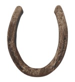 Realistic Horseshoe