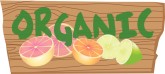 Organic Fruit