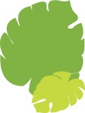 Tropical Green Leaves