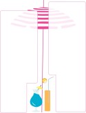 Summer Umbrella