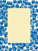 Blueberry Frame