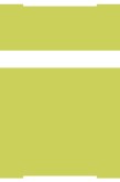 Lime Green Boxes