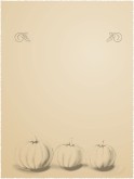 Pumpkin Pencil Sketch Background