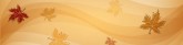 Fall Email Banner